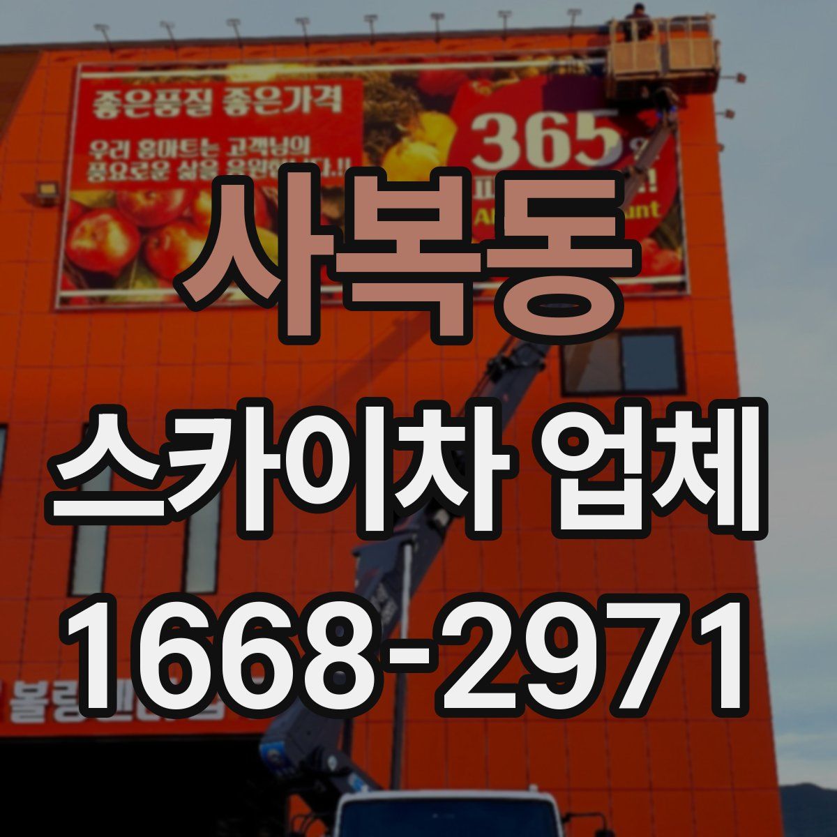 사복동 스카이차 업체