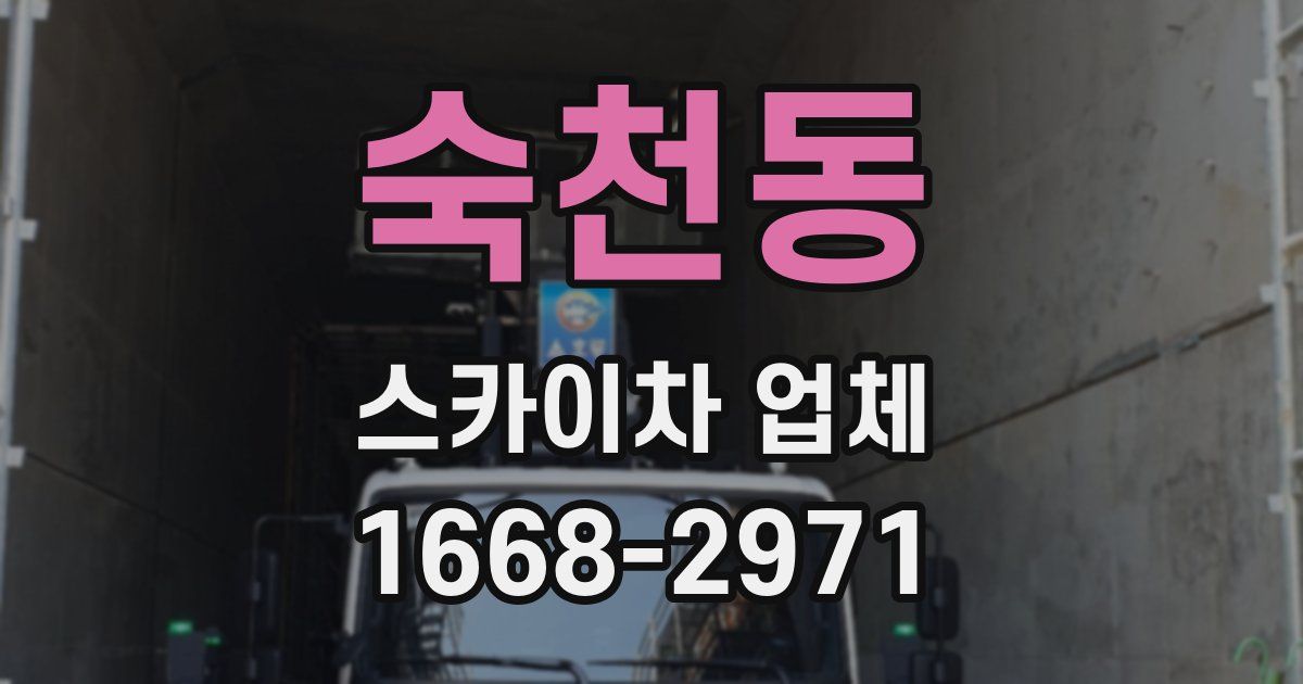 숙천동 스카이차 업체