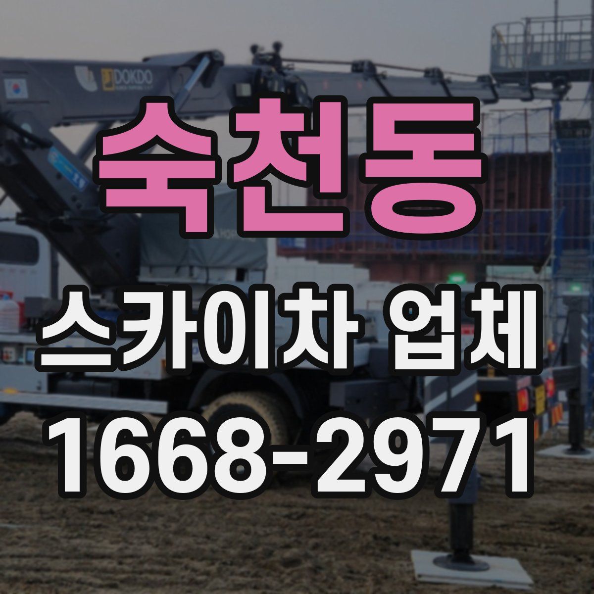 숙천동 스카이차 업체