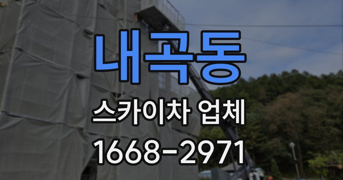 내곡동 스카이차 업체