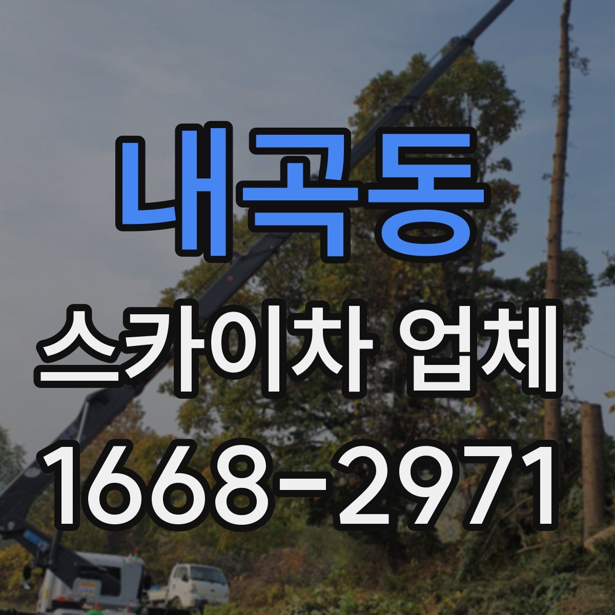 내곡동 스카이차 업체