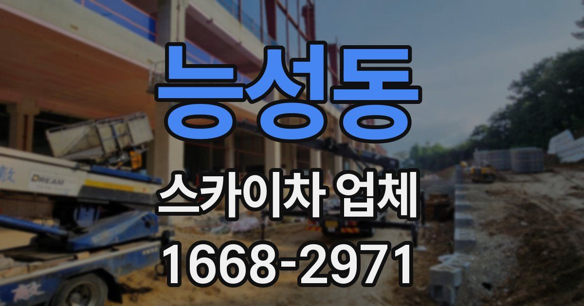 능성동 스카이차 업체