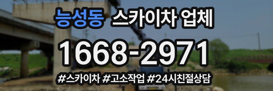 능성동 스카이차 업체