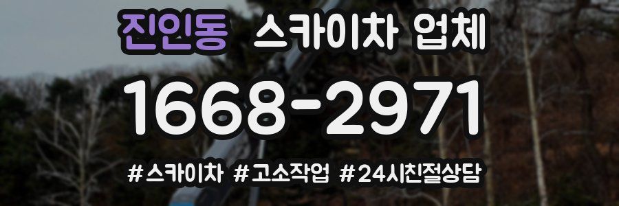 진인동 스카이차 업체