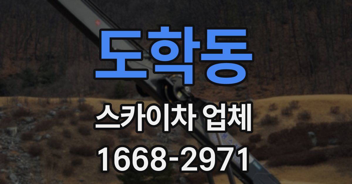 도학동 스카이차 업체