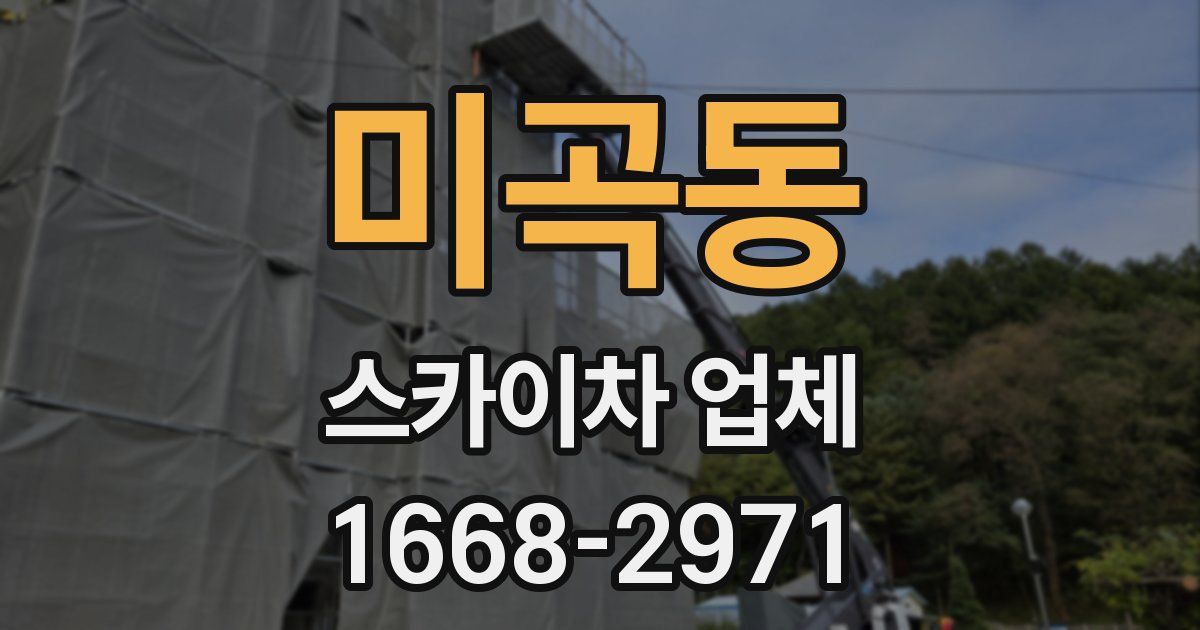 미곡동 스카이차 업체