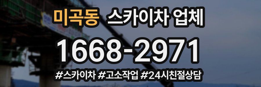 미곡동 스카이차 업체