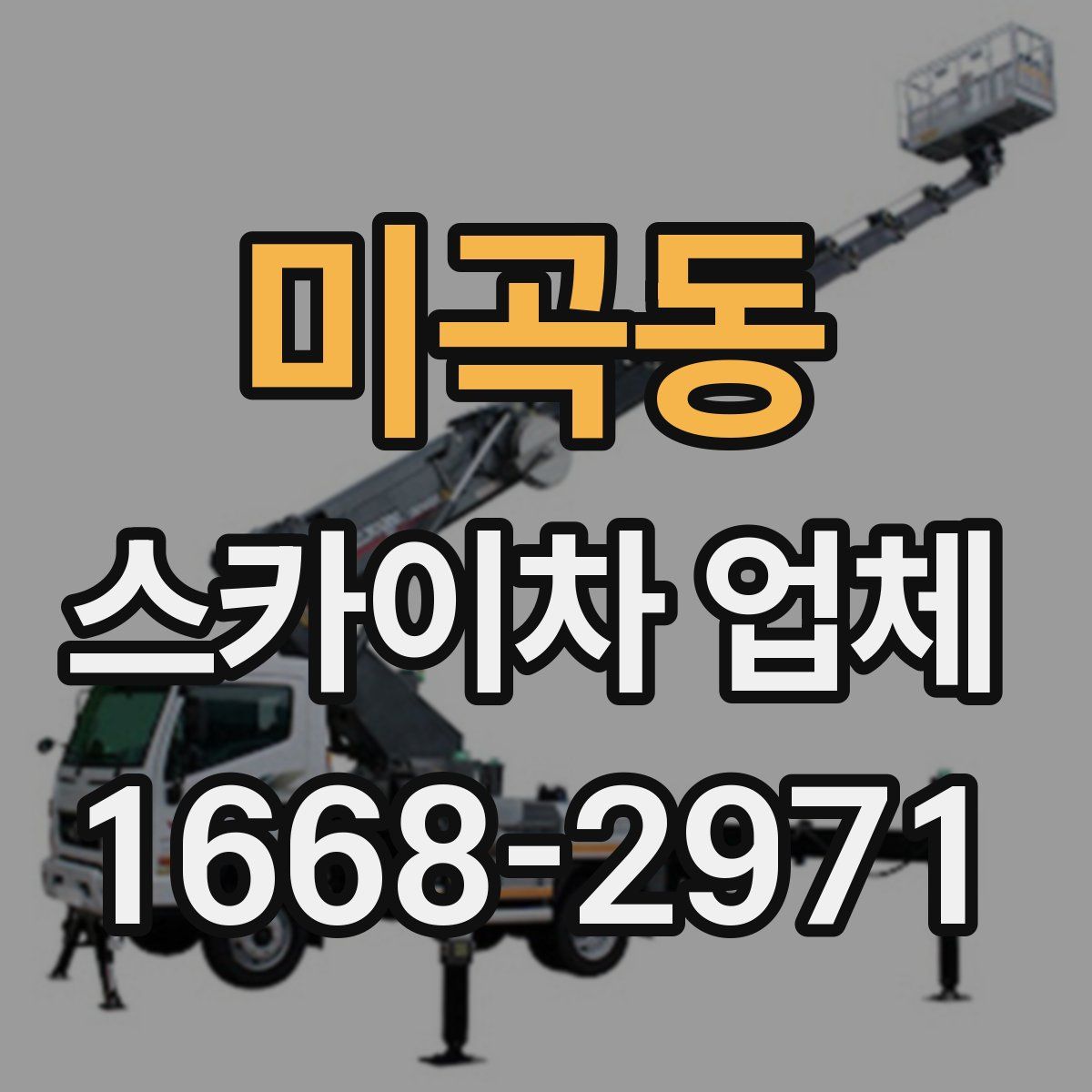 미곡동 스카이차 업체