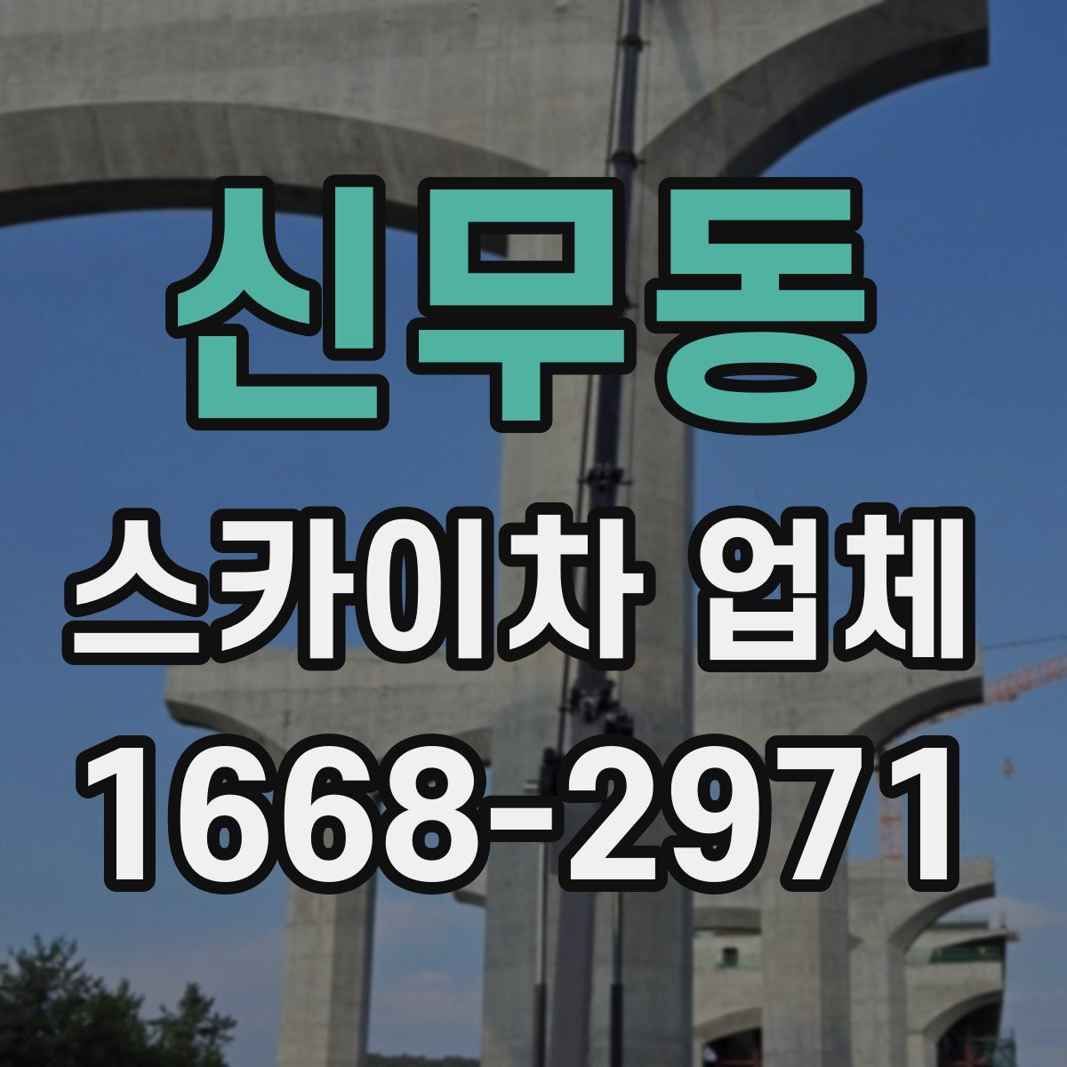 신무동 스카이차 업체