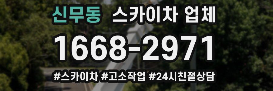 신무동 스카이차 업체