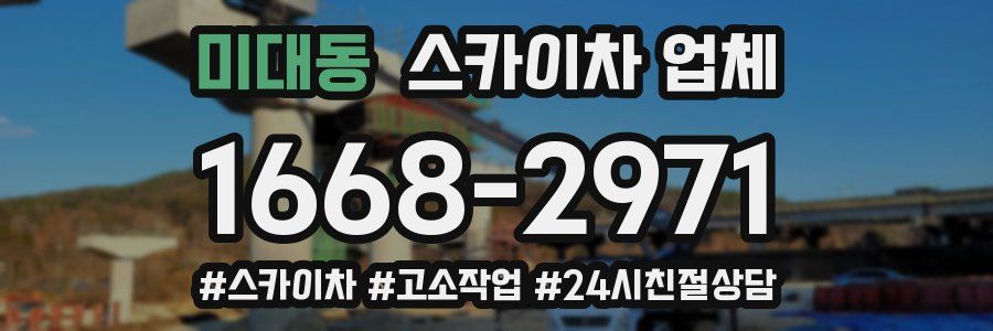 미대동 스카이차 업체