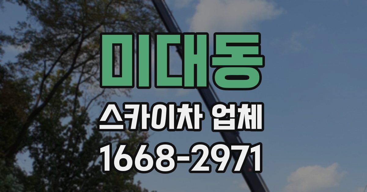 미대동 스카이차 업체