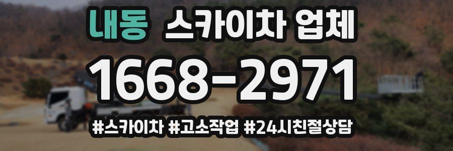 내동 스카이차 업체