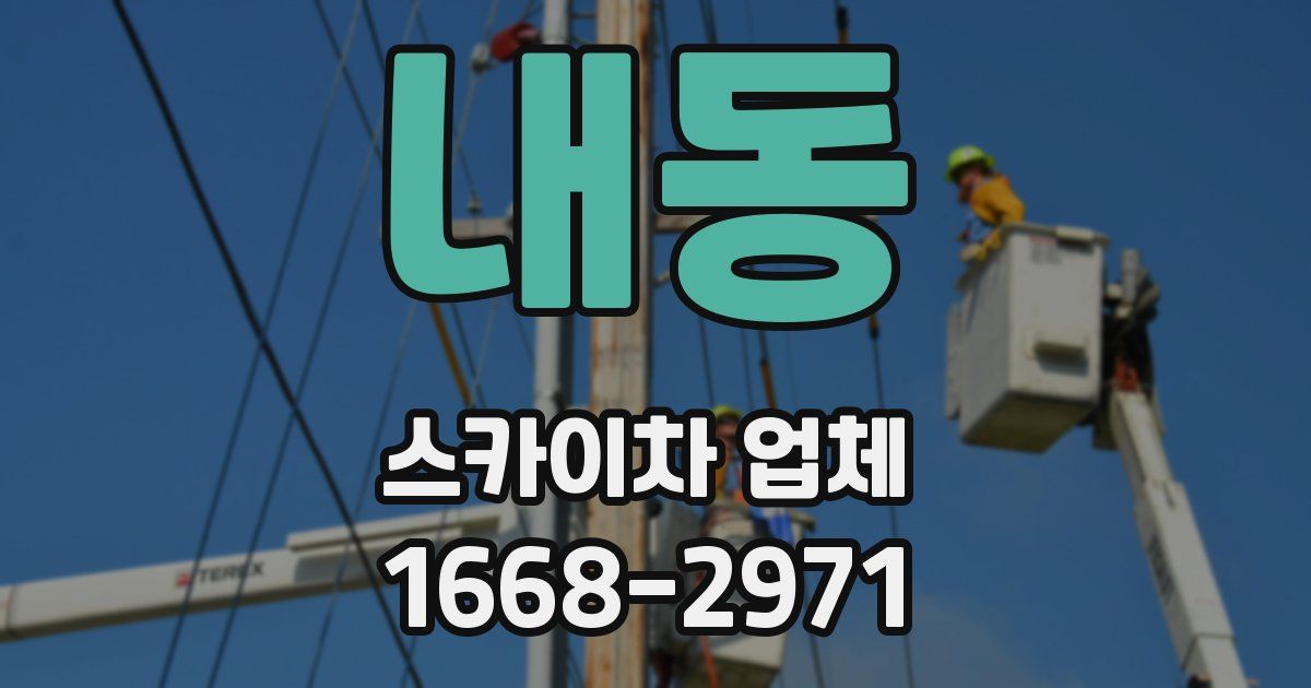 내동 스카이차 업체