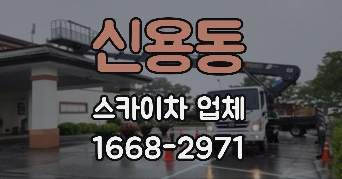 신용동 스카이차 업체