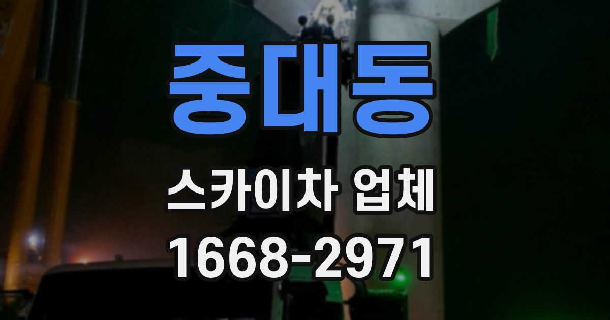 중대동 스카이차 업체