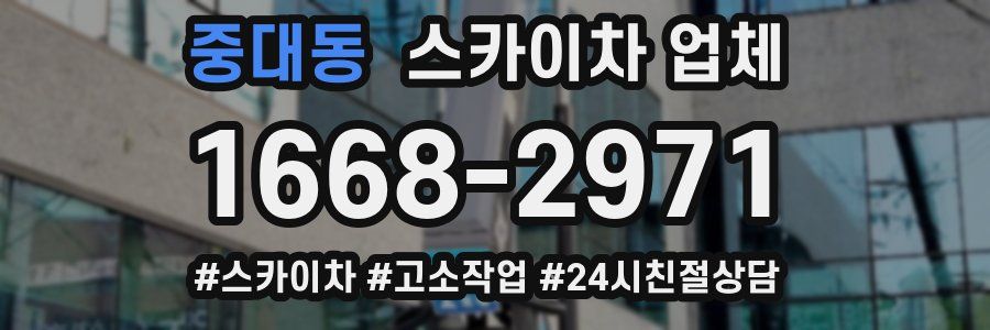 중대동 스카이차 업체