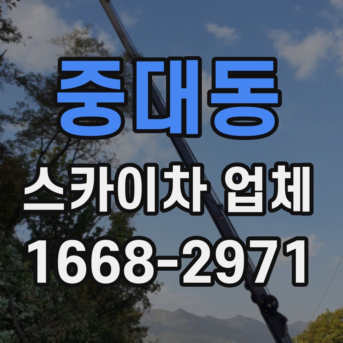 중대동 스카이차 업체