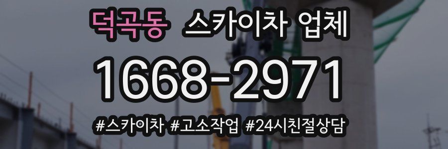 덕곡동 스카이차 업체