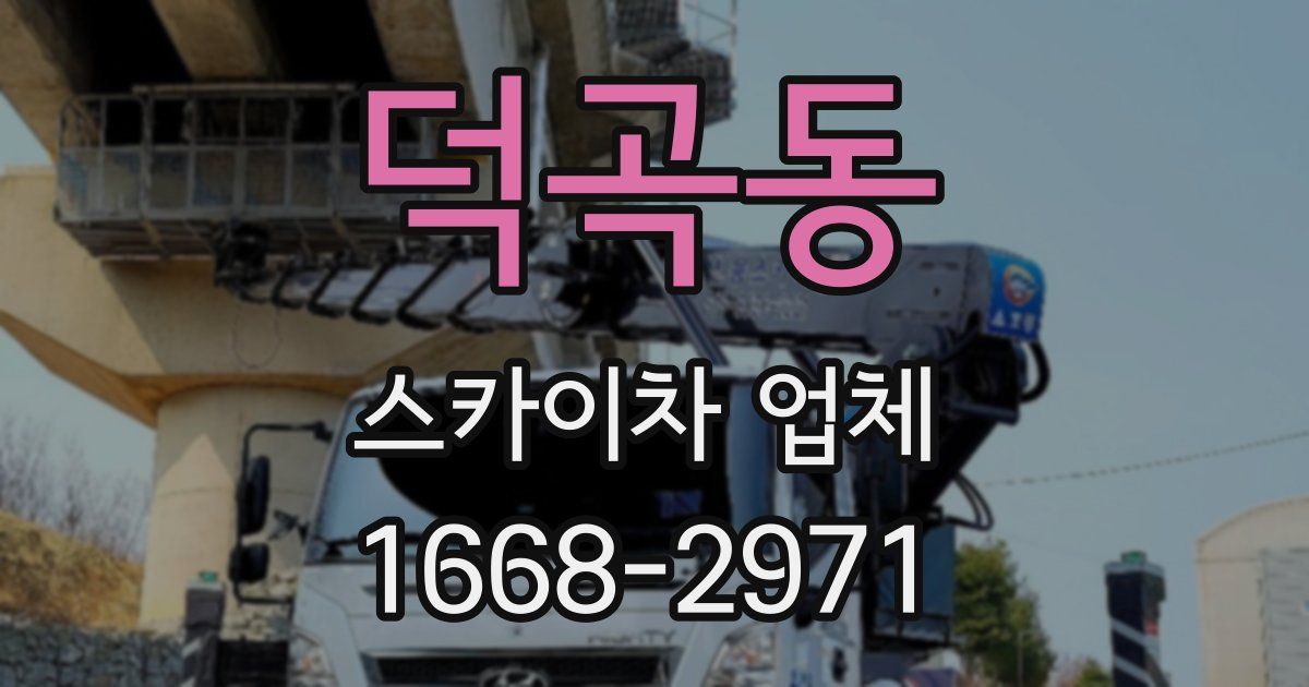 덕곡동 스카이차 업체