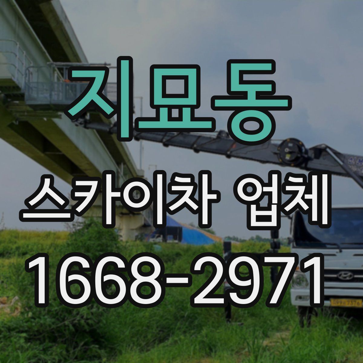 지묘동 스카이차 업체