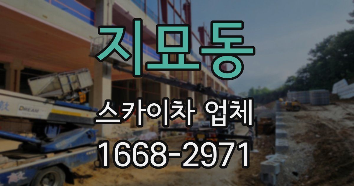 지묘동 스카이차 업체
