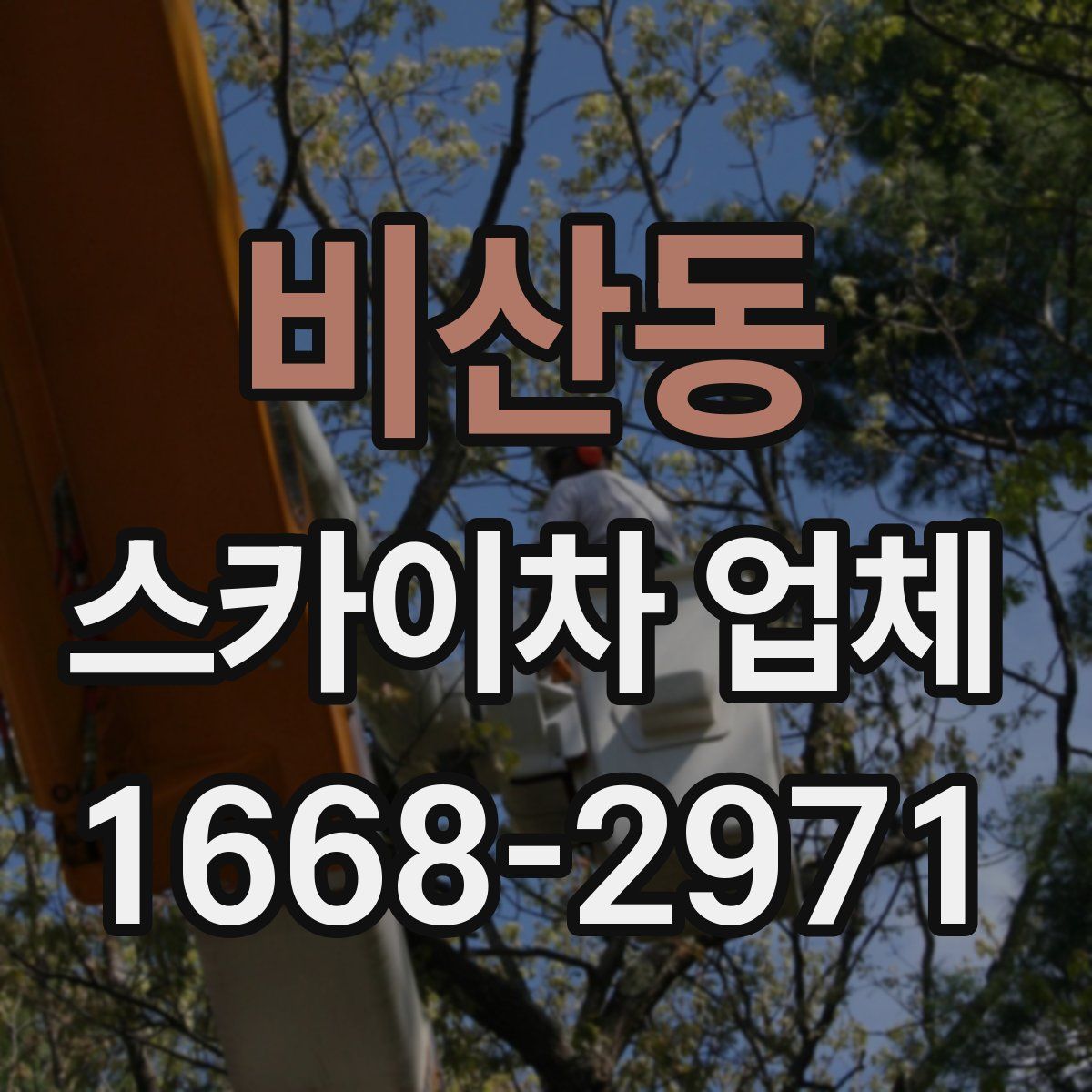 비산동 스카이차 업체