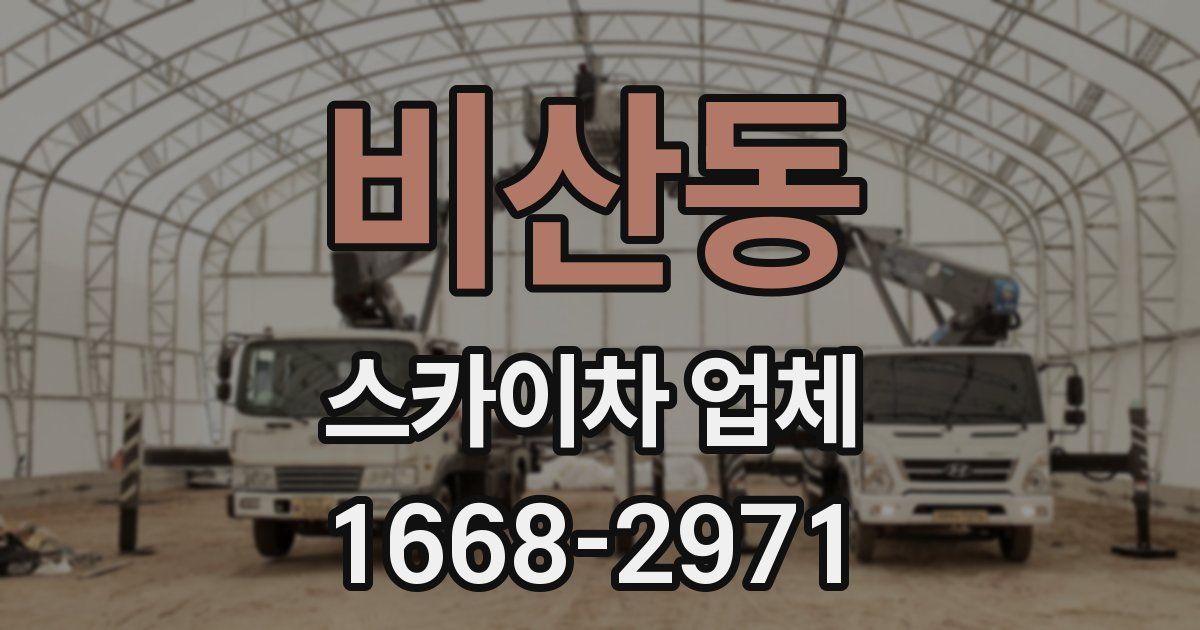 비산동 스카이차 업체