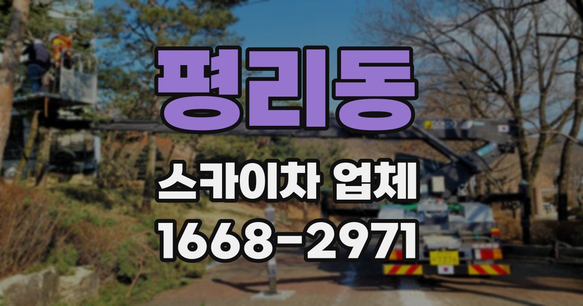 평리동 스카이차 업체