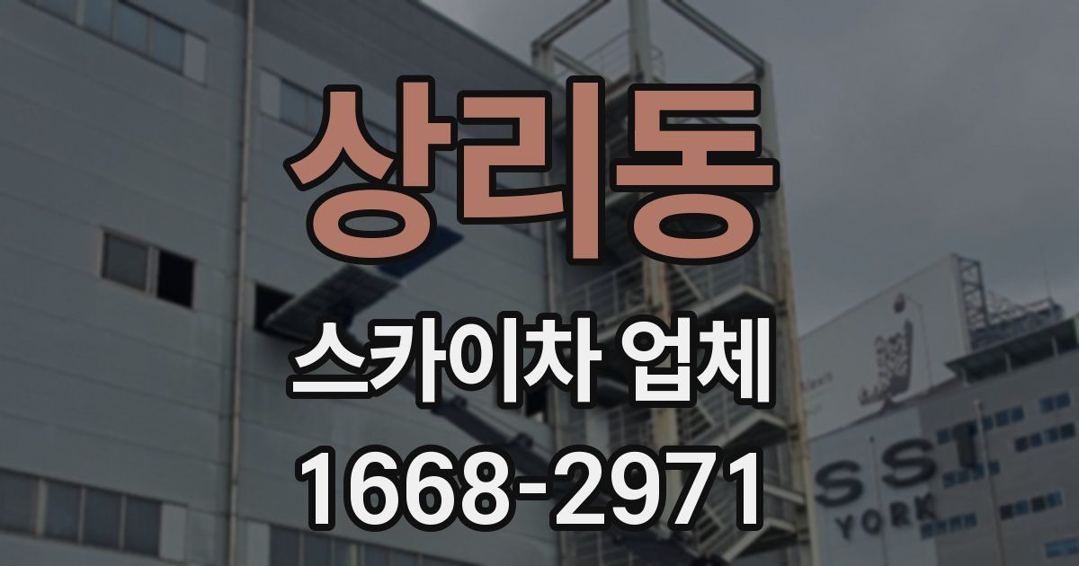 상리동 스카이차 업체