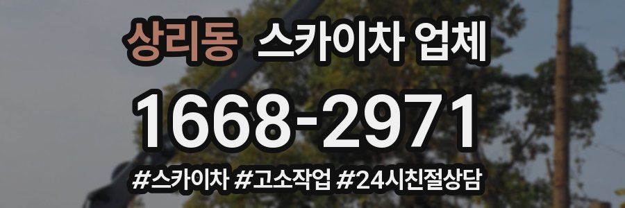 상리동 스카이차 업체