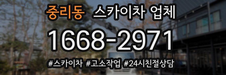 중리동 스카이차 업체