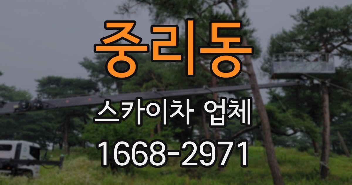 중리동 스카이차 업체