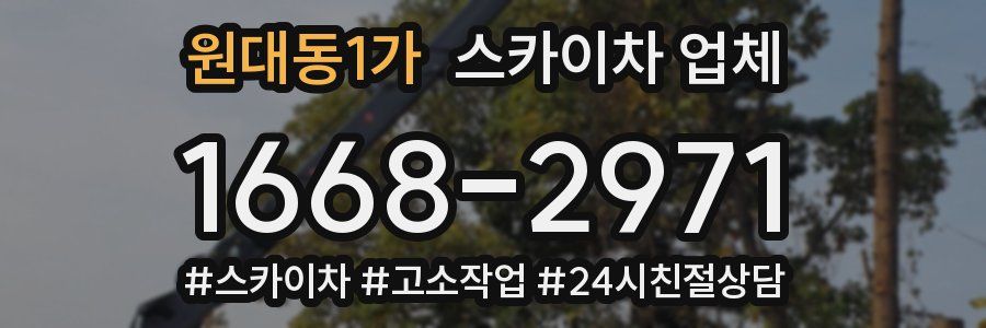 원대동1가 스카이차 업체