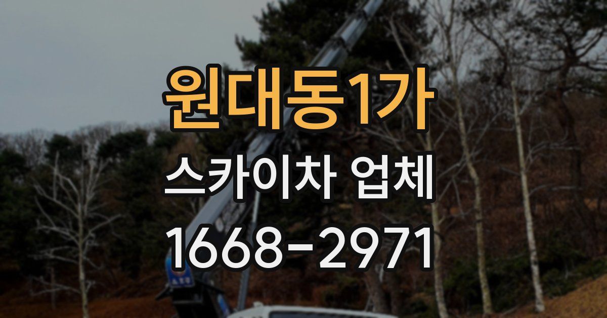 원대동1가 스카이차 업체