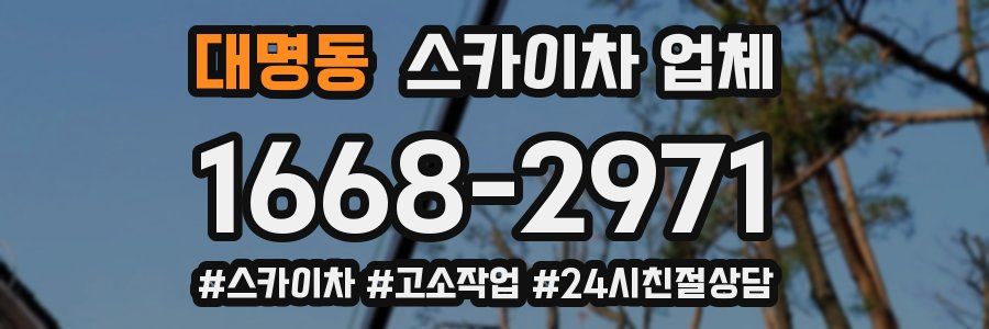 대명동 스카이차 업체