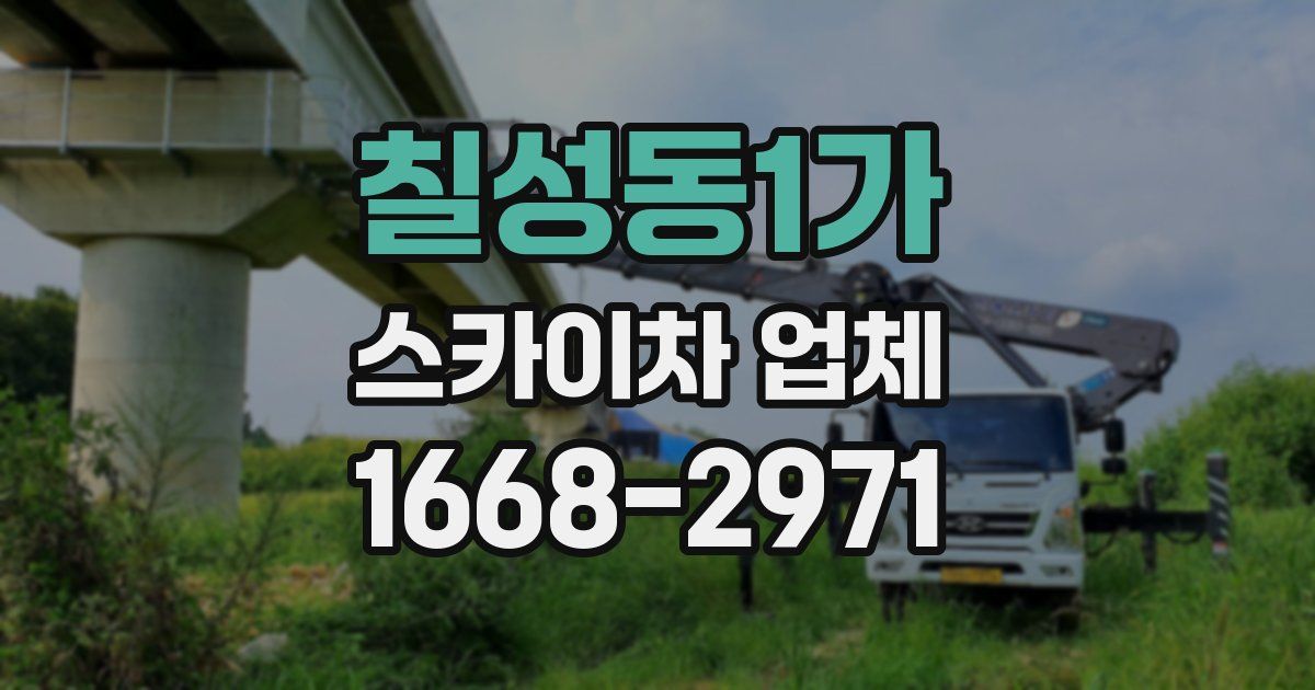 칠성동1가 스카이차 업체