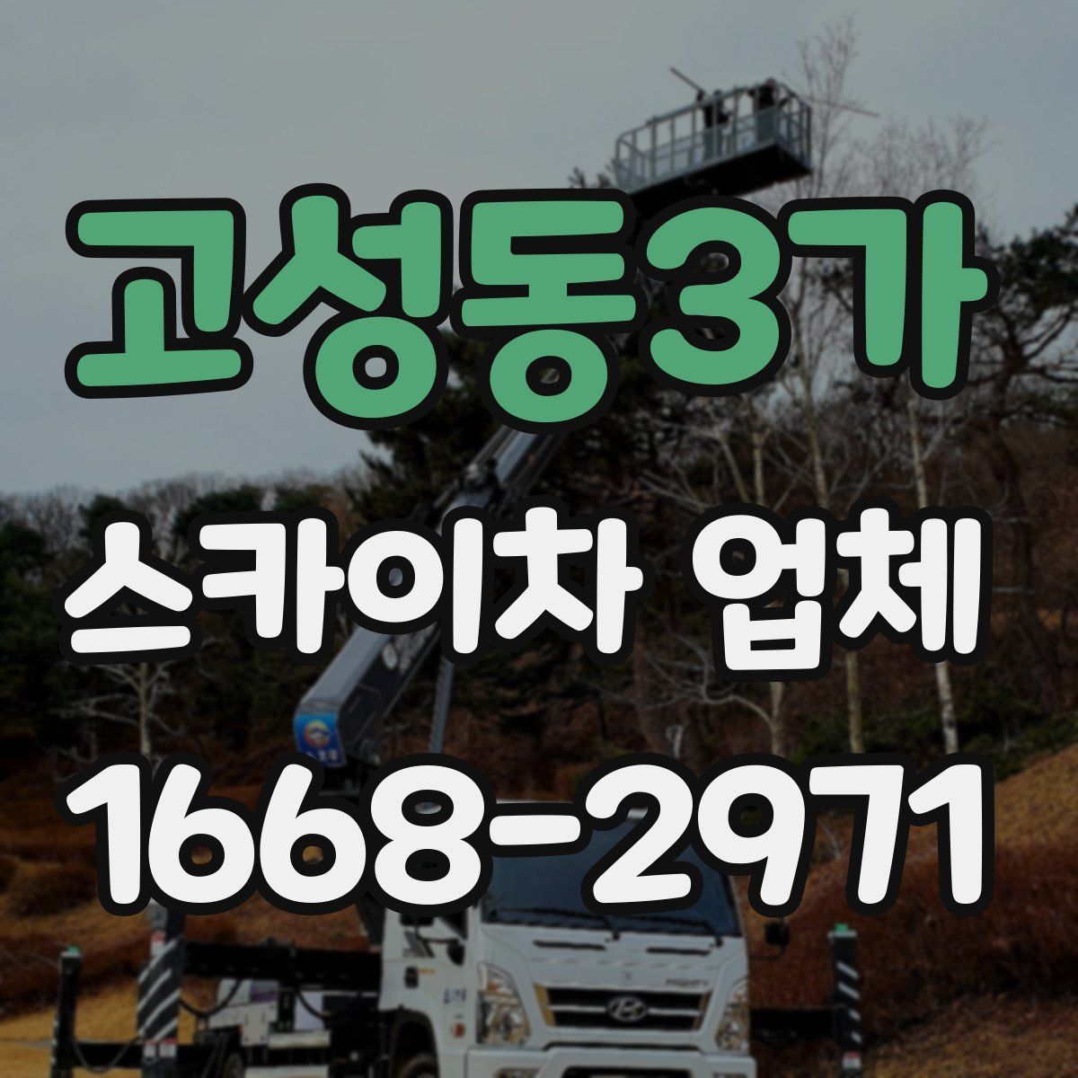 고성동3가 스카이차 업체