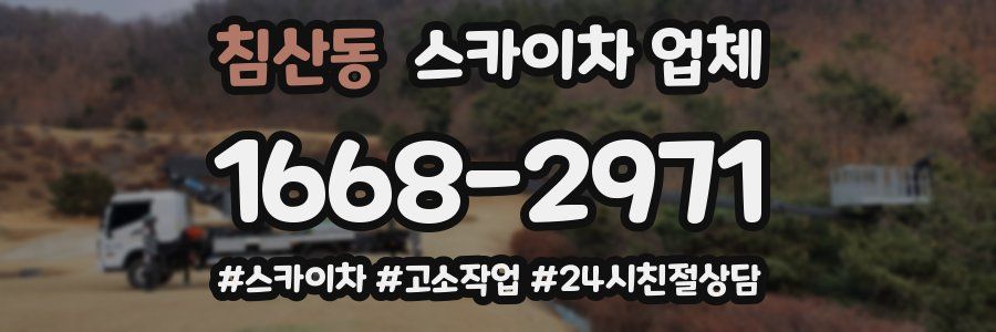 침산동 스카이차 업체