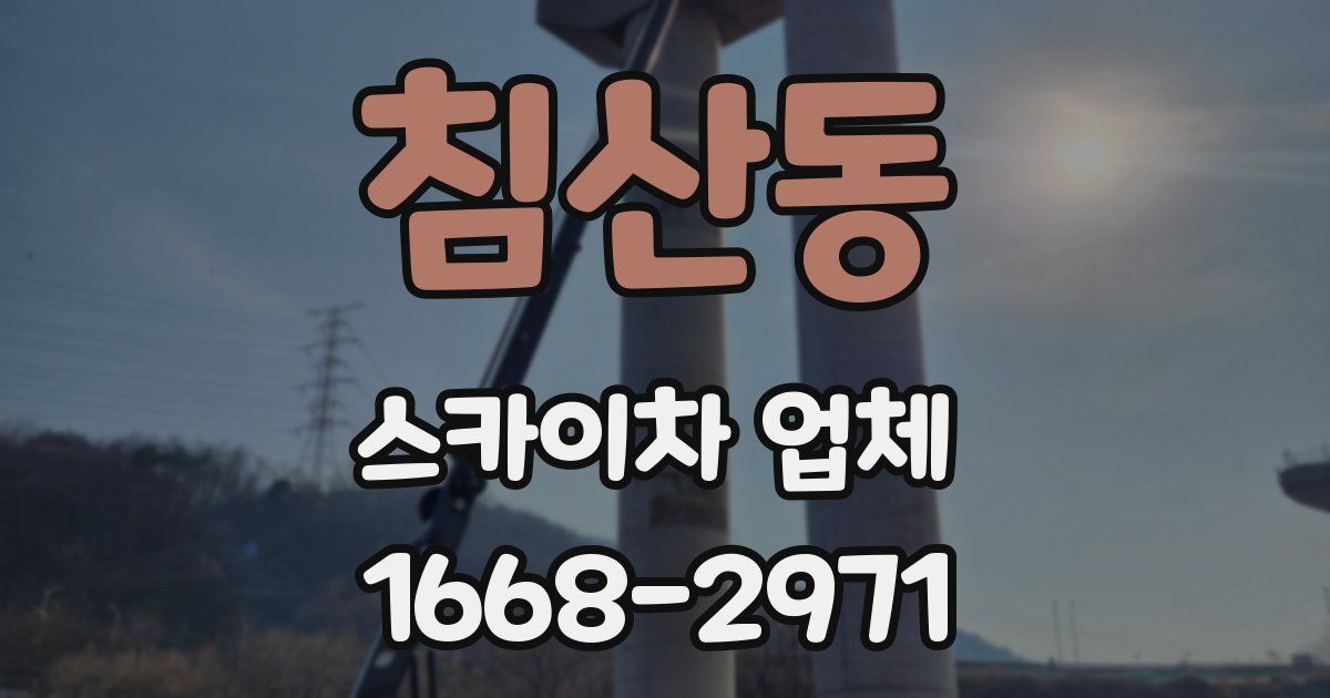 침산동 스카이차 업체