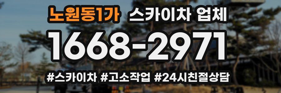 노원동1가 스카이차 업체