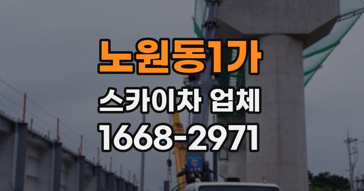 노원동1가 스카이차 업체
