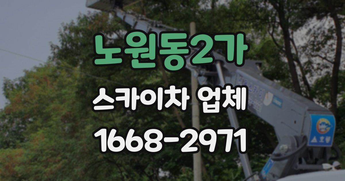 노원동2가 스카이차 업체