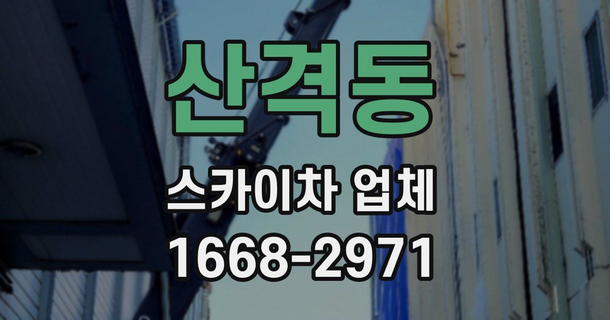 산격동 스카이차 업체
