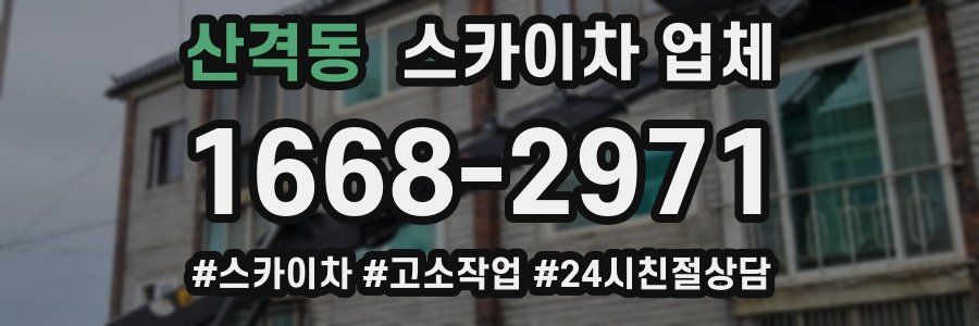 산격동 스카이차 업체