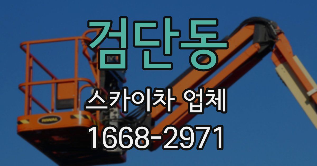 검단동 스카이차 업체