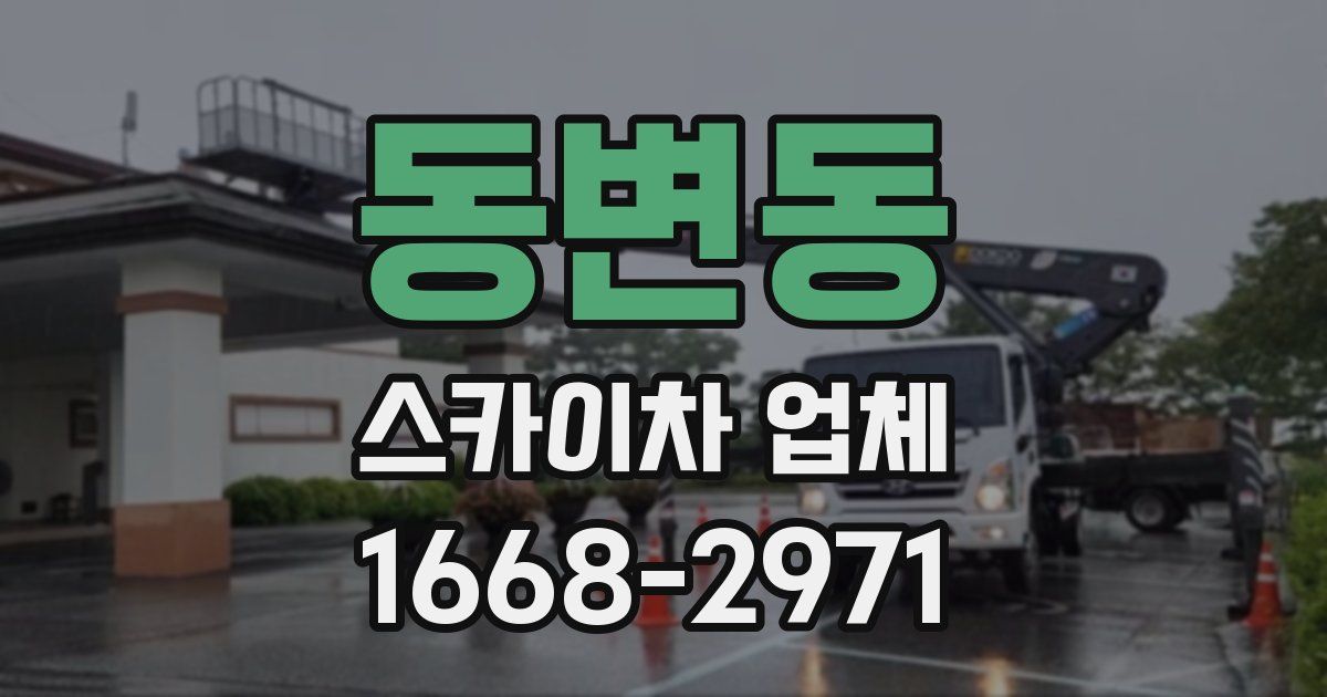 동변동 스카이차 업체