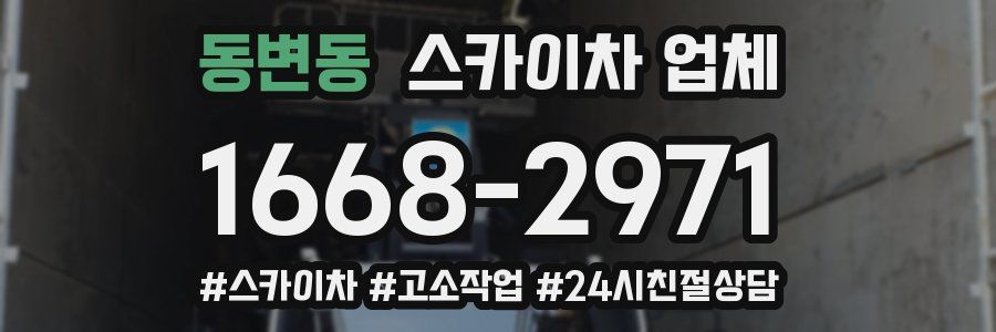동변동 스카이차 업체