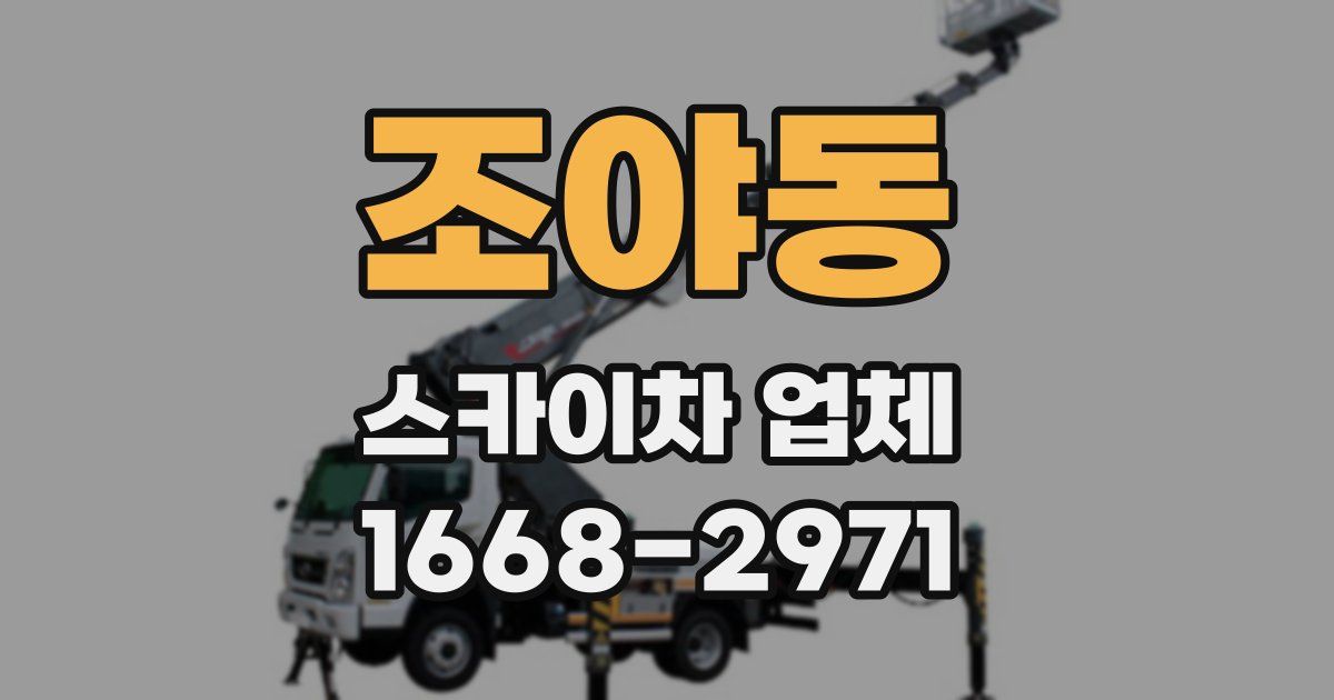 조야동 스카이차 업체