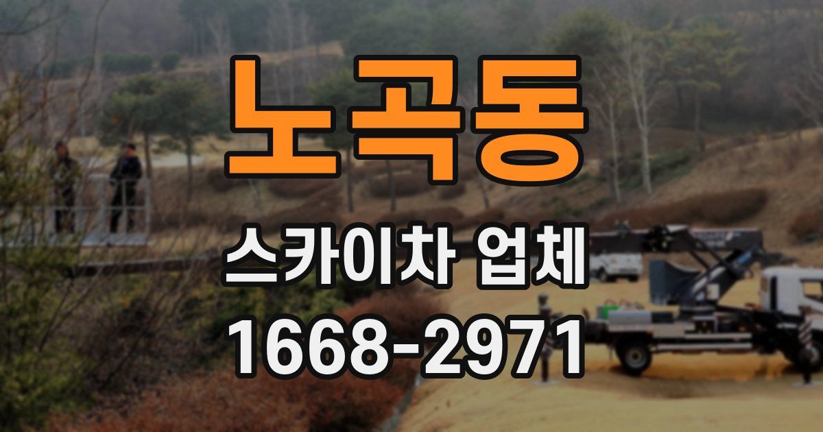 노곡동 스카이차 업체